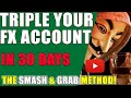 1000 Pip Climber System - 5 Best Forex Signals Providers ...