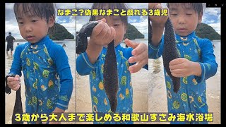 白浜よりも美しい海が和歌山にはたくさんある。すさみ海水浴場では3歳児から大人まで楽しめるオーシャンブルーと水生生物の宝庫！ナマコ、偽黒なまこ！