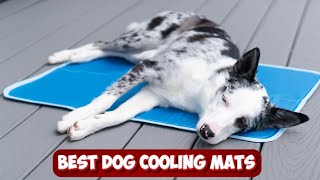 Cool Comfort for Canines: Exploring the Best Dog Cooling Mats to Beat the Heat!