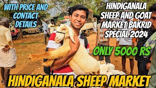 Bangalore hindiganala goat and sheep market bakrid special 2024 full detail video with price