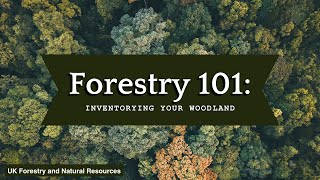 Forestry 101: Inventorying Your Woodland