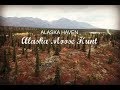 Alaska Moose Hunt | Alaska Haven