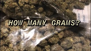 Afghan kush series episode 11 LED HARVEST WEIGHT