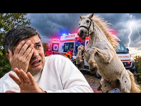 Andrian a FOST Lovit de un CAL alb/ Ce a pățit?