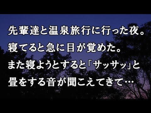 【修羅場　洒落怖】先輩達と温泉旅行に行った夜。寝てると急に目が覚めた。また寝ようとすると「サッサッ」と畳をする音が聞こえてきて…【修羅場・洒落怖のぞき見チャンネル】