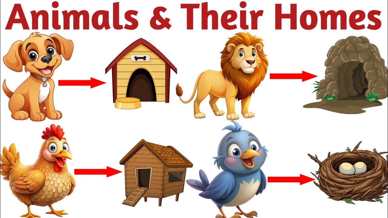 Animals and Their Homes | जानवर और उनके घर | Home of Animals | Animals Home | Kids Learning Video |