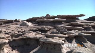 NM True TV Bisti Badlands, DeNaZin Wilderness