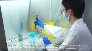 Diagnostic Kit for T Cell Infected with Mycobacterium Tuberculosis (Wantai TB-IGRA CLIA)