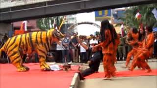 Tiger Dance / Tari Harimau (Ngagah Harimau) festival batanghari ( Sanggar Seni Telaga biru)