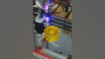 3D Printed Flower Timelapse - Octolapse