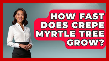 How Fast Does Crepe Myrtle Tree Grow? - The Plant Enthusiast