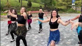 Beraha Ya Sheekha Bahaa Sultan Belly dance