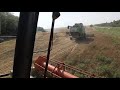 Уборка гороха Claas Lexion 550-540