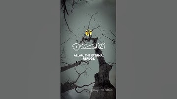 سورة الاخلاص ادريس ابكر #القرآن #آيات #القرآن_الكريم