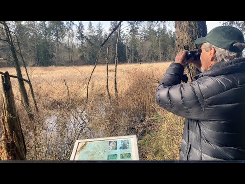 Видео: Birch Bay Washington Trip Planner