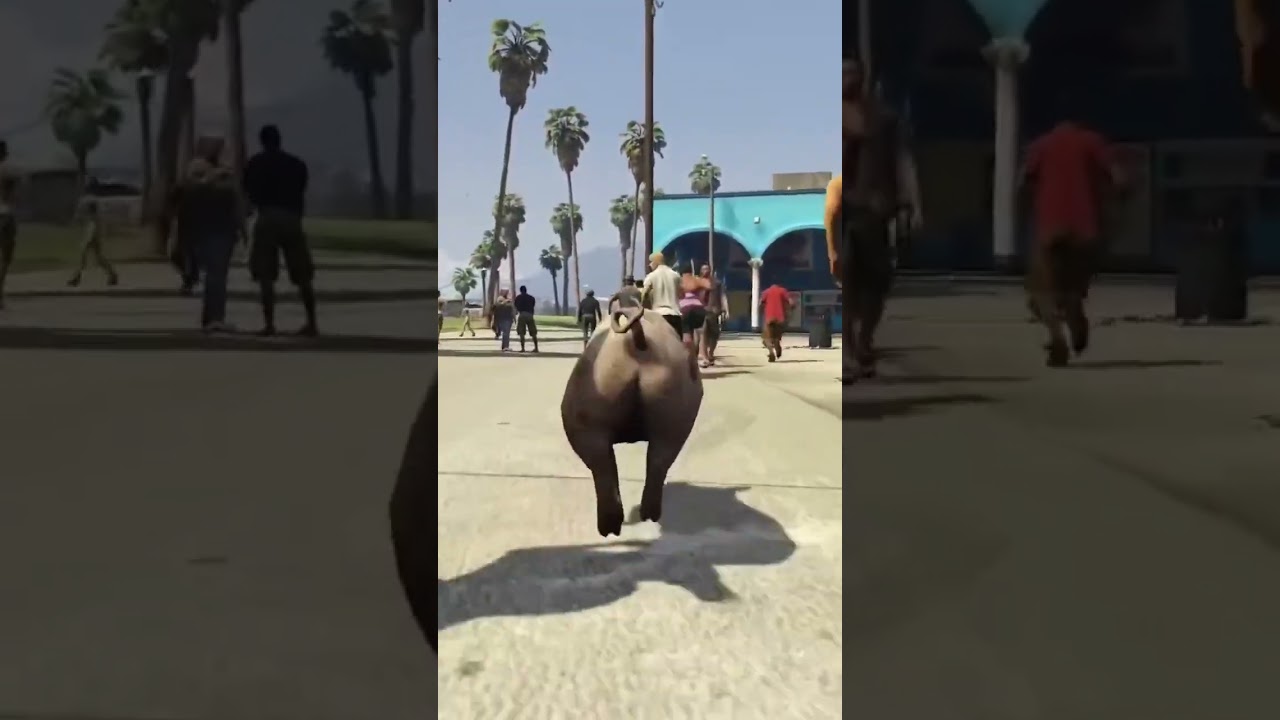 PIG DIES FROM EXHAUSTION?? 😱 DASHIE GTA5 MAYHEM #1 