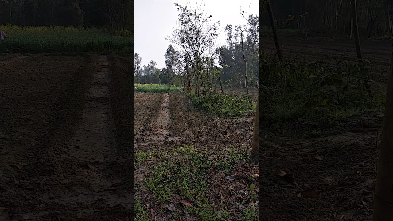 Agriculture land for sale in Haridwar Uttarakhand only 3 lakh per