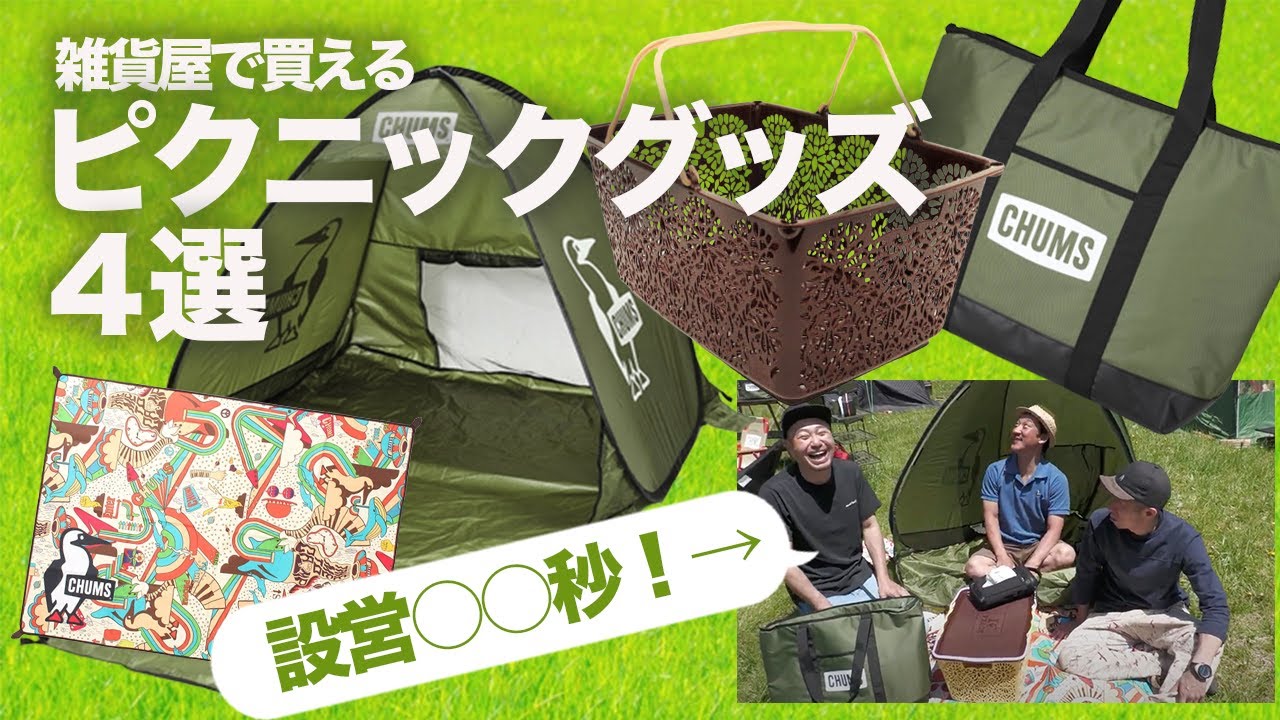 4 picnic items for families that can be set up in 3 minutes and