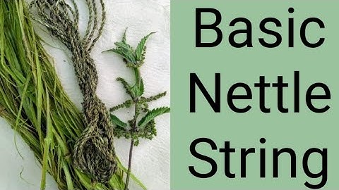 Basic Nettle String