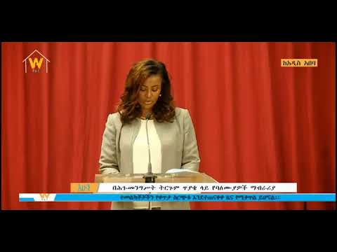 በሕገ መንግስት ትርጉም ጥያቄ ላይ የባለሙያዎች ማብራሪያ - አሁን