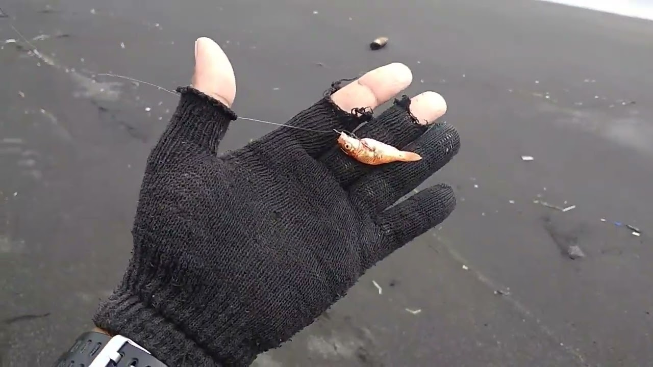 Mancing Pasiran Jogja || Pakai Umpan Anakan Ikan #36