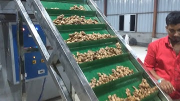 Ginger Conveyor Dryer - Part - 1, by Mahatma Brijmohan Techniclas, India