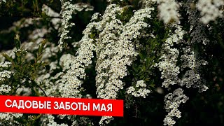 САДОВЫЕ ЗАБОТЫ МАЯ