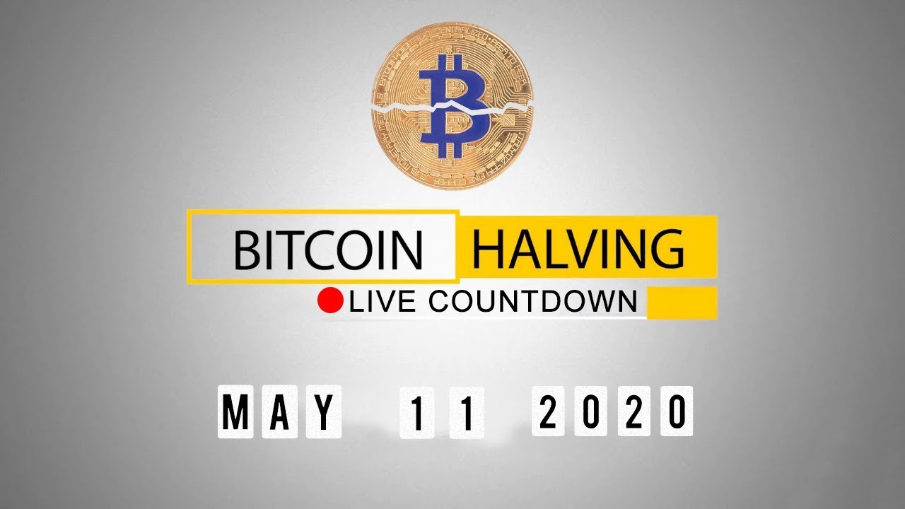 Live Bitcoin Halving Countdown BTC Chart Trading and Halving
