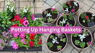 Planting Annual Flowers in Hanging Baskets