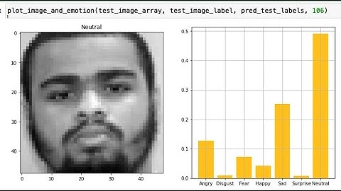 Real Time Facial Expression Recognition Using CNN and EDA