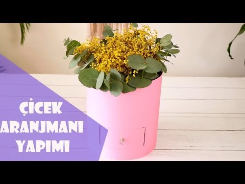 Video: Gölgede Ev Sahipleriyle Bir çiçek Aranjmanı Oluşturmak