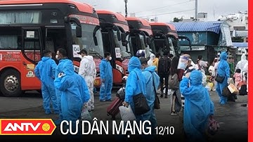 Ủng Hộ Thí Điểm Vận Tải Hành Khách Liên Tỉnh Từ 13/10 | Cư Dân Mạng | ANTV