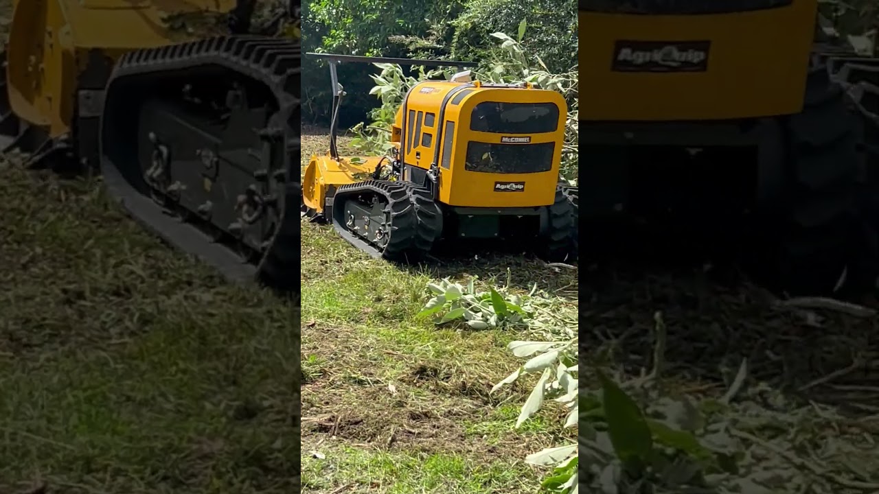 Woolly Nightshade mulched in Pyes Pa #grazernz #mulching