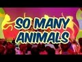 Hi 5 House S14 So Many Animals 