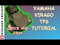 YAMAHA TPS TUTORIAL XV 1100 VIRAGO | How to test and reset your throttle position sensor