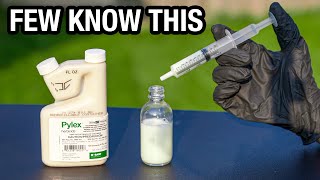 I Tested the Deadliest Crabgrass Killer in the World by Princess Cut Lawn Care 83,061 views 8 months ago 5 minutes, 13 seconds