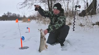 ЗАБРАЛИСЬ В ГЛУШЬ И ОСТАЛИСЬ С НОЧЕВКОЙ. Натаскал щук на балансир. Рыбалка в палатке с комфортом