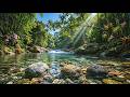 Gentle Clear River ASMR 🌊 No Rain No Music – Pure Water Sounds for Sleep & Relaxation