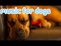 10 hours deep separation anxiety music for dogs chill your dog 247