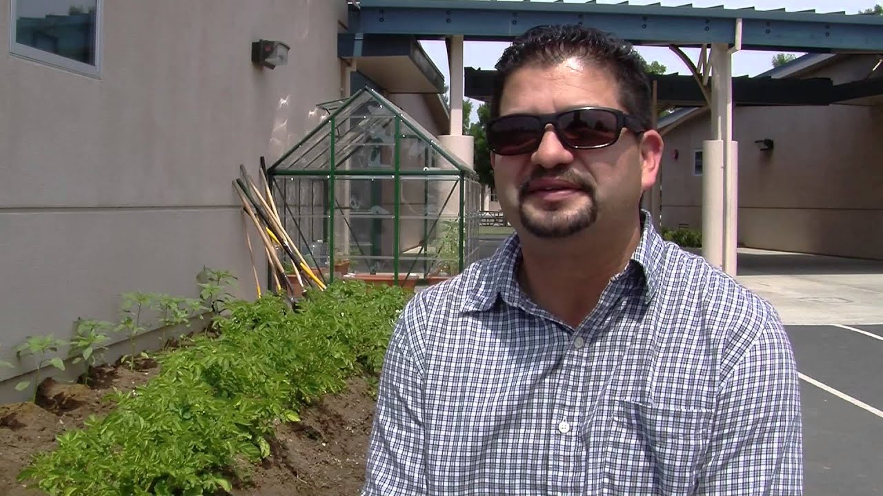 Winfield Elementary School Garden YouTube