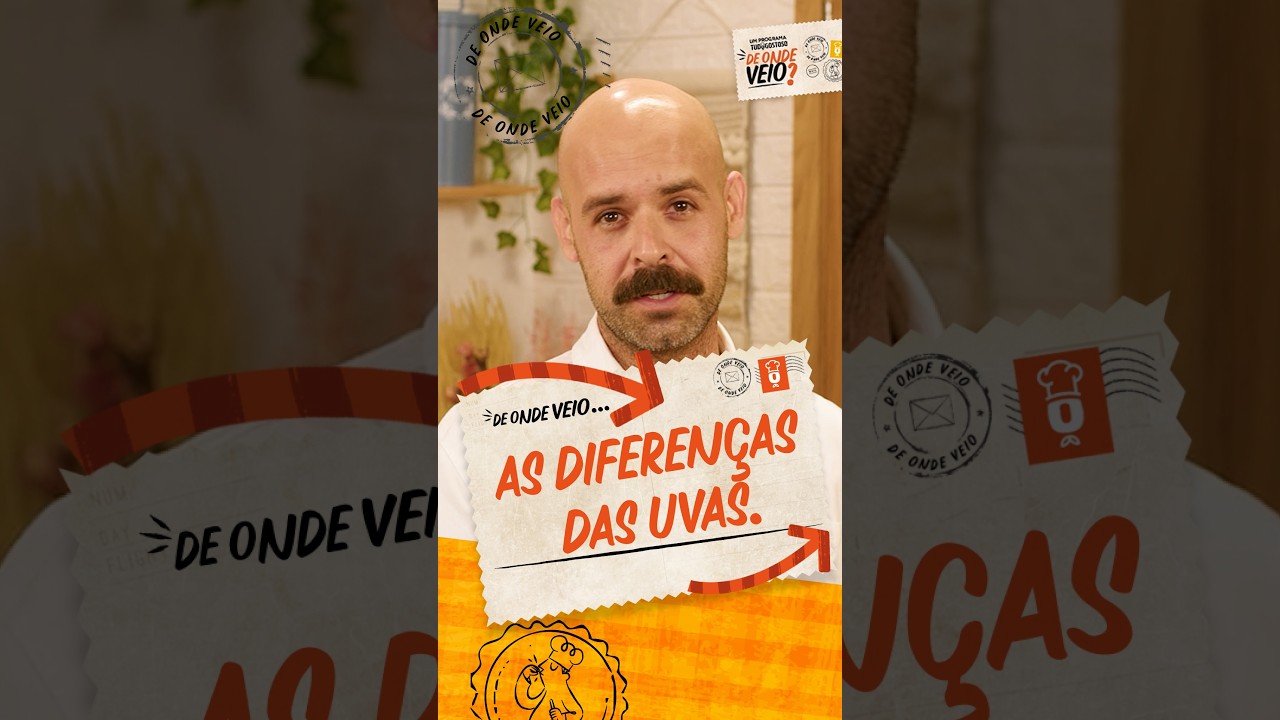 As UVAS dos VINHOS são DIFERENTES?