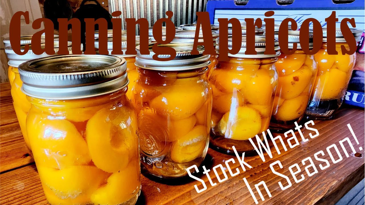 Waterbath Canning Apricots