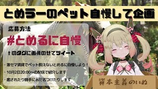 [20211002-2008] 【ペット紹介】ペットみて癒されよう！！！【息根とめる】