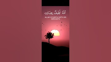 الله لطيف بعباده 🌹💚|قرآن كريم 🌹💚 هدوء وراحة