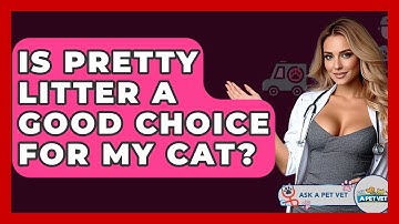 Is Pretty Litter A Good Choice For My Cat? - Ask A Pet Vet