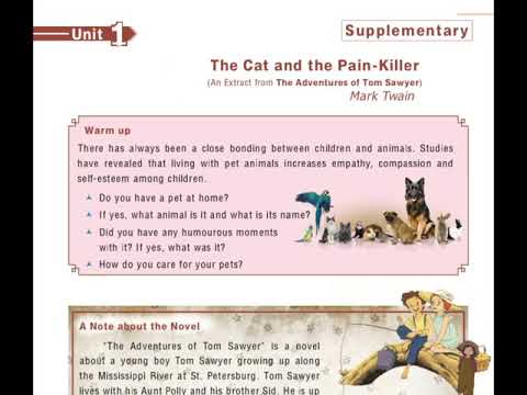 the cat and the painkiller essay