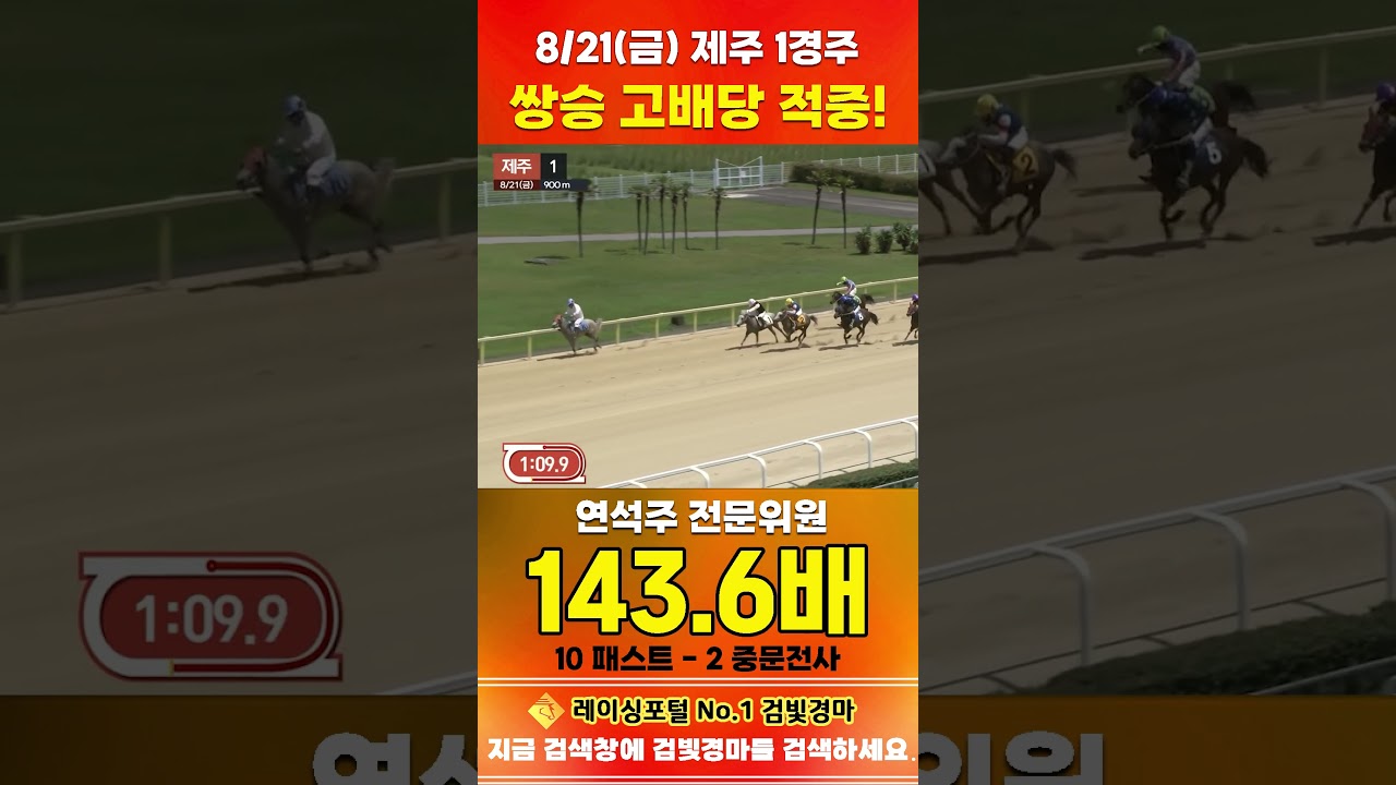 [제주 경마] 8월 21일 금요 1경주 연석주 전문위원 쌍승 고배당 적중 #경마 #horse #한국마사회 #automobile #하이라이트 #riding #게임#뉴스 #korean