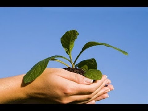 გარემოს დაცვითი კონფერენცია