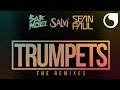 Sak Noel & Salvi Ft. Sean Paul - Trumpets (Undersound Remix)