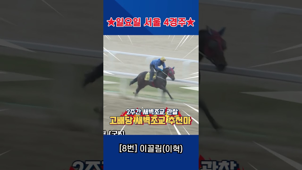 5월17일 일요일 서울 4경주!! 2주간 훈련보인 강백호의 새벽조교 쏘스마!!